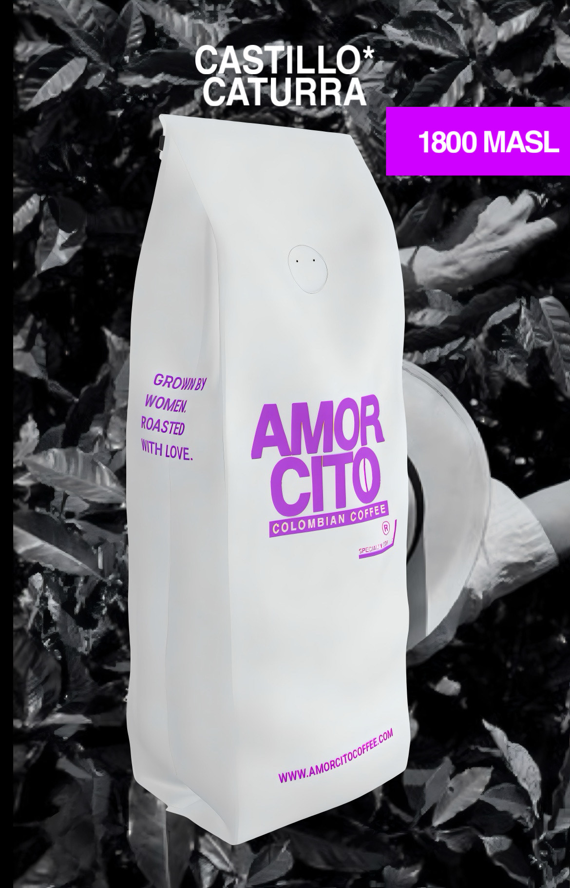 AMORCITO HOUSE BLEND CATURRO * CASTILLA